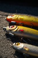 Fox Rage Gumová Nástraha Super Slick Shad Loaded UV Silver Ghost (10)
