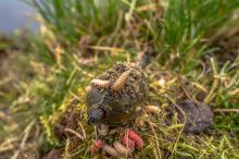 Korum Krmítko Camo Window Feeder (11)