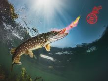 Delphin Dipovací Sprej Ústřice STINX SPRAY Červený 30 ml (2)