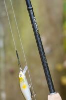 Zebco Prut Trophy X Spin 2,4 m 5-28 g 2-Díl (6)