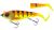 Savage Gear Wobler Deviator Tail SS Golden Ambulance