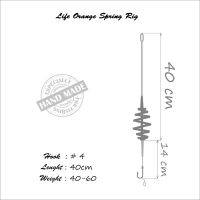 Life Orange Spring Rig (2)
