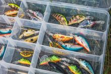 Salmo Wobler Hornet Floating Holographic Grey Shiner (4)