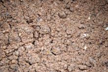 Jet Fish Boilie Mix Směs Seafood (1)