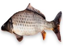 BeCare Polštář Kapr Šupináč - S 32 cm