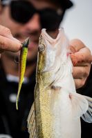 Fox Rage Jigová Hlavička Dart Jig Head Camo (8)