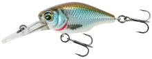 Savage Gear Wobler Petit G Crank 4 cm 5,3 g DR F CL Roach