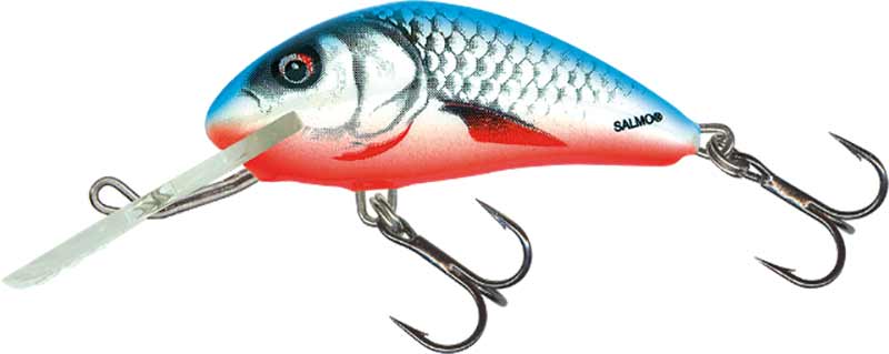 Salmo wobler hornet floating dace blue - 4 cm