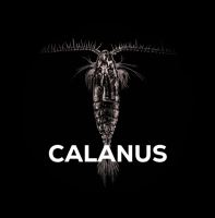 Squat Carp Pure Calanus Hydro 250 ml (2)