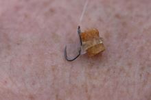 Preston Inavations Gumičky Na Nástrahy Hookable Bait Bands (10)