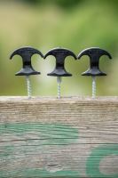 Nash Kolíky Titan Platform Pegs 15 ks 8 cm (4)