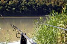 Sportex Prut Revolt Carp 3,9 m 3,75 lb (6)