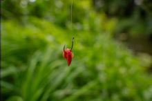 Korum Háčky Xpert Maggot Barbed (3)