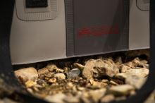 Fox Rage Taška Pro Series Welded Bag Medium (11)