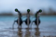 Korda Prut Kaizen Green 12 ft 4 lb 2 ks + Korda Pouzdro Na Pruty Compac 3 Rod Divide Holdall 12 ft (7)