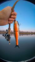 Berkley Gumová Nástraha PowerBait Nessie Rainbow Trout (2)