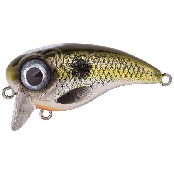 Spro Wobler Fat Iris 50 Shad 5 cm 10 g