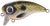 Spro Wobler Fat Iris 50 Shad 5 cm 10 g