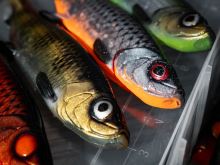 Savage Gear Gumová Nástraha 3D Herring Shad V2 Herring RD (4)