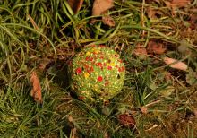 Mivardi Krmítková Směs V1 Kapr 2,85 kg - Amur (3)