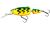 Salmo Wobler Frisky Deep Runner Green Tiger 7 cm 7 g