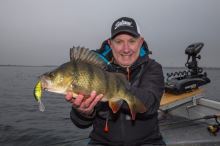Salmo Wobler Hornet Sinking Pearl Shad (7)