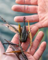 Avid Carp Olovo Pro Mapování Dna Substrate Marker Lead (4)