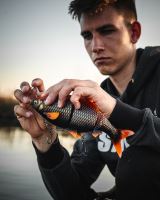 Savage Gear Gumová Nástraha 3D Line Thru Roach Slow Sinking Clear Rudd (3)