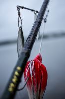 Savage Gear Třpytka Da Bush Spinnerbait Sinking Firetiger (1)