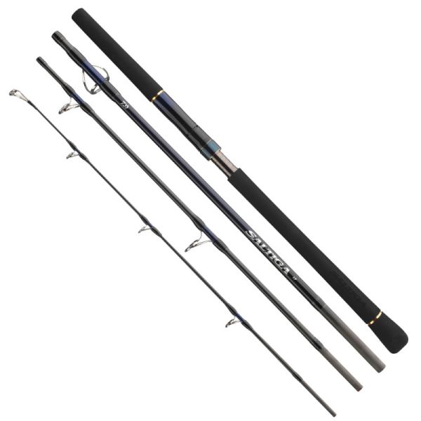 Daiwa Prut Saltiga Air Portable 2,4 m 40-110 g
