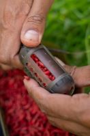 Korum Krmítko Window Maggot Feeder (2)