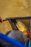 Preston Innovations Podběráková Hlava Carbon Hair Mesh Landing Net (9)