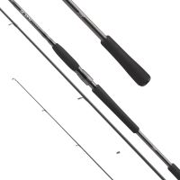 Daiwa Prut Pro Staff  3.05m 14-42g (2)