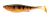 Daiwa Gumová Nástraha Prorex Belly Shad Natural UV Perch