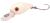 Spro Wobler Trout Master Wobbla White 3,7 cm 2,1 g