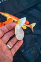 Fox Rage Gumová Nástraha Ultra Realistic Replicant Pike Golden Pike (10)