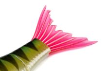 Fox Rage Gumová Nástraha Replicant Swim Perch 18 cm (2)