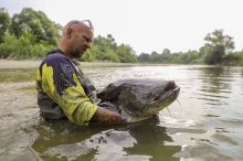 Black Cat Triko Fishing Jersey UV (6)