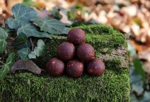 Mivardi Boilies Rapid Excellent ProActive Kapří Guláš (3)