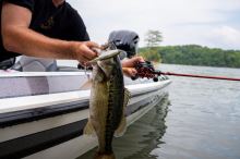 Berkley Wobler Choppo Floating Black Chrome (8)