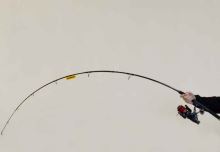 Sportex Prut Jolokia Pilk Black Edition 3 m 70-150 g (6)