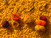 LK Baits nástraha CUC Raisin 50 g (4)