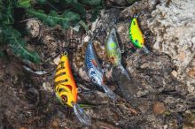Salmo Wobler Rattlin Hornet Floating Hot Perch (2)