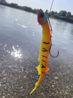 Black Cat Gumová Nástraha Cat Pelagic Red Head 27 cm 60 g (6)