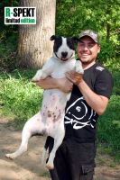 R-SPEKT Tričko Carper černé (7)