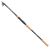 Daiwa Prut Legalis Tele Spin 3,3 m 10-50 g