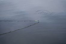 Korum Prut Limitless Feeder 14 ft 220 g (4)