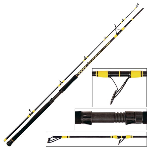 Black Cat Prut Passion Pro DX Spin 2,7 m 200 g