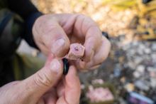 Korum Zarážky Meat Stoppas (2)