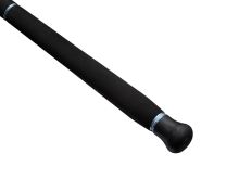 Savage Gear Prut Defiance SG2 Shore Jigging 2,9 m 15-60 g 2-Díl (4)